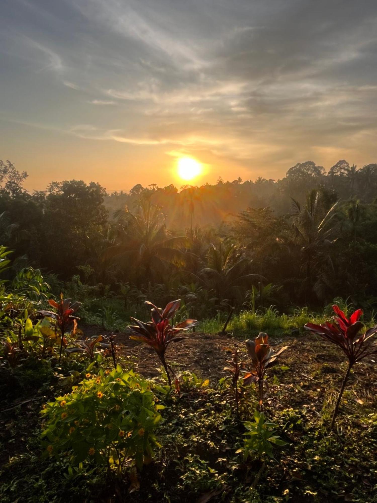 Tetebatu Jungle Vibes Hotell Eksteriør bilde